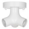 Bailey | Ceiling-/wall luminaire | LED replaceable | 60W No dimming function