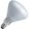 SPL | Halogen R-butt/reflector lamp | E27 | 105W