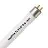MASTER TL5 HO 49W - 840 Cool White | 145cm