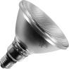 Incandescent Spot PAR38 | E27 Dimmable | 75W 122mm Frosted