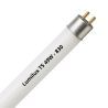 Lumilux T5 FQ HO 49W - 830 Warm White | 145cm