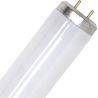 SPL | UV lamp G13 | 20W SPL | UV lamp G13 | 20W