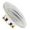 Bailey | Halogen lamp - projection and studio | Halogen | 50W