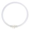 MASTER TL5C Circular 22W - 840 Cool White | 23cm