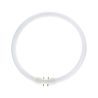 MASTER TL5C Circular 55W - 840 Cool White | 30cm MASTER TL5C Circular 55W - 840 Cool White | 30cm