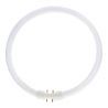 Lumilux T5 Circular FC 32W - 830 Warm White | 30cm Lumilux T5 Circular FC 32W - 830 Warm White | 30cm