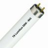 T8 Lumilux 58W - 865 Daylight | 150cm