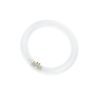 T9 Circline G10q 32W 3000K T9 Circline G10q 32W 3000K