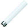 Philips | fluorescent lamp | G13 fitting | fluorescent tube | 60cm | 18.2W
