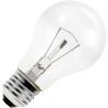 Light bulb | Large socket E27 | Standard bulb | Clear | 55mm | 100W