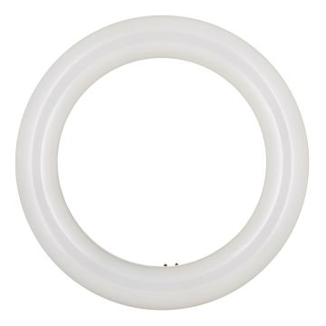 Bailey | LED Tubes Ronds | G10q  | 11W