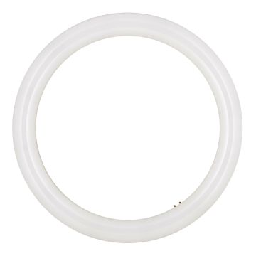 Bailey | LED Round Light | G10q  | 16W