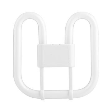 SPL | Compact Fluorescent Lamp | 2D | GR10q Fitting | 16W | White | 4-Pin | 4000K