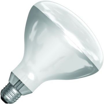 SPL |  IR lamp R-butt/reflector lamp | E27 | 250W