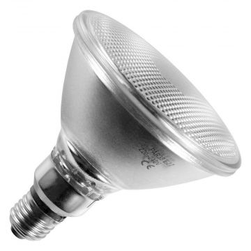 Incandescent Spot PAR38 | E27 Dimmable | 120W 122mm Frosted