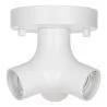 Bailey | Ceiling/wall luminaire | LED interchangeable | 60W Non-dimmable