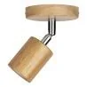 Bailey | Ceiling/wall luminaire | LED interchangeable | 60W Non-dimmable