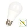 Bailey | LED bulb | Large fitting E27 | Standard bulb | 60mm | 9W