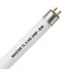 MASTER TL5 HO 24W - 830 Warm White | 55cm