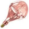 Calex | LED filament | Large socket E27 | Design lamp | 165mm | 6W
