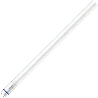 Philips | LED TL Master | G13 | 8W | 60cm | 3000K  