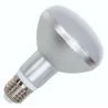 Bailey | LED bulb | Large fitting E27 | Reflector lamp | 80mm | 9W