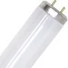 SL | fluorescent tube | G13 Fitting | T12 | 20W | Blacklight UV insect lamp | 59cm