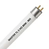 MASTER TL5 HO 80W - 865 Daylight | 145cm