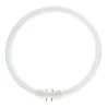 MASTER TL5C Circular 40W - 840 Cool White | 30cm