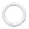 T9 Circline | 30W | G10Q | 840 Cool White