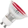 SPL | LED Spot | GU10  | 5W Dimmable