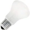 Incandescent Mushroom Bulb | E27 Dimmable | 53W Frosted