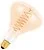 Bailey | LED Spot | Large fitting E27 | 5W Dimmable
